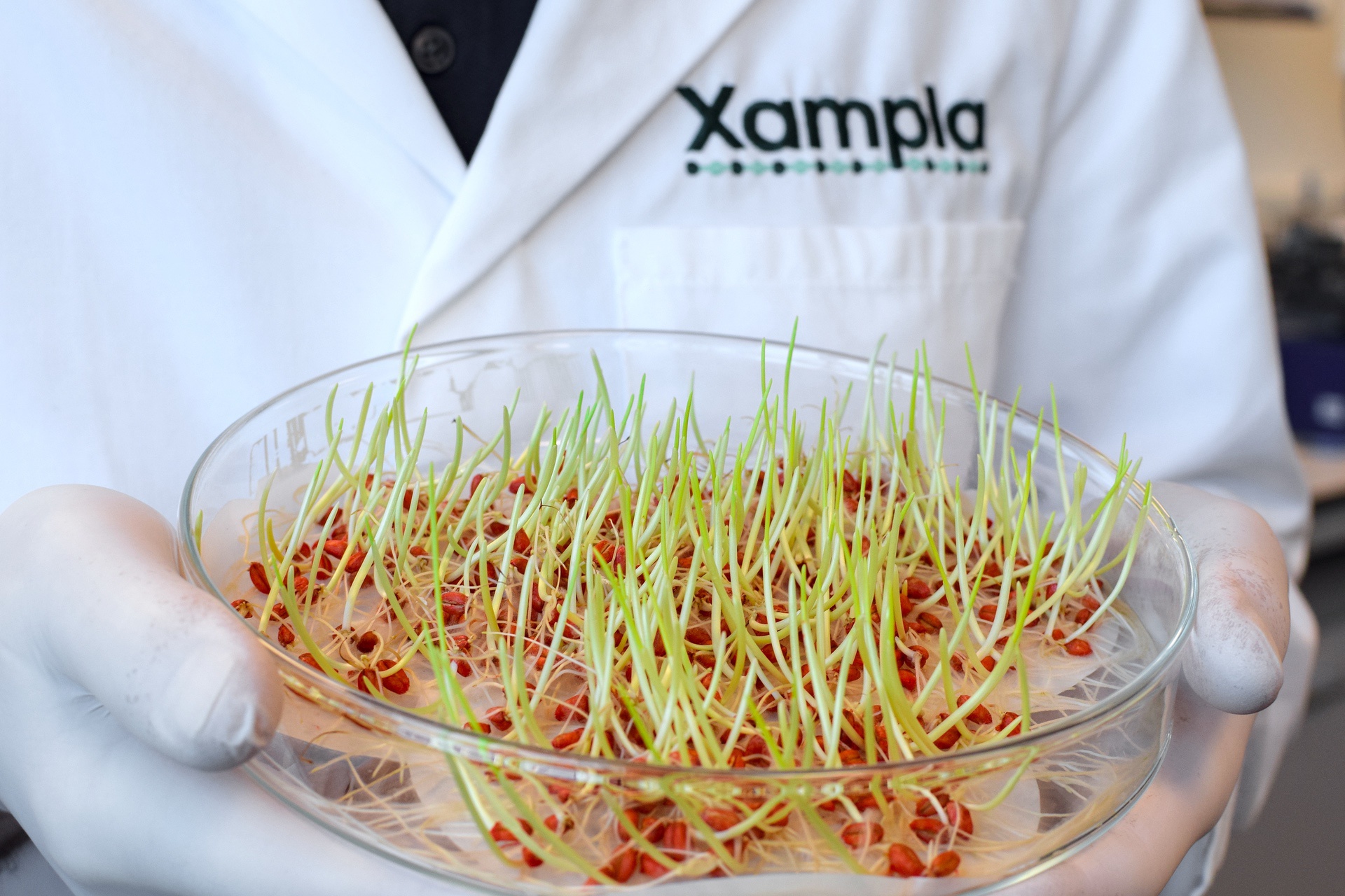 Xampla partners with Croda in UK government-backed trial of microplastic-free seed coatings