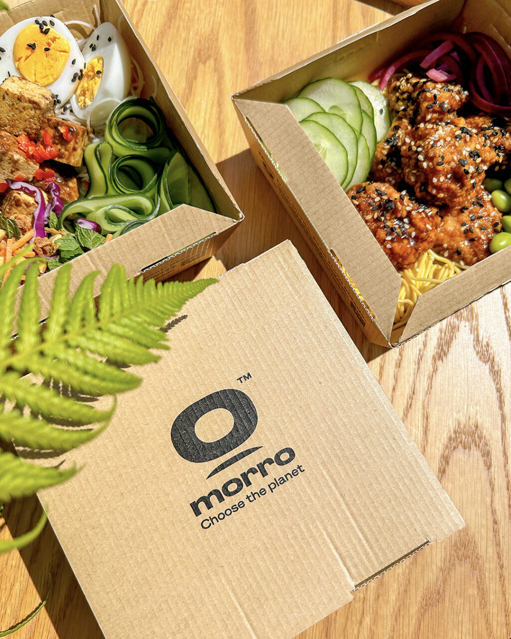 Morro Coating Plastic Free Report